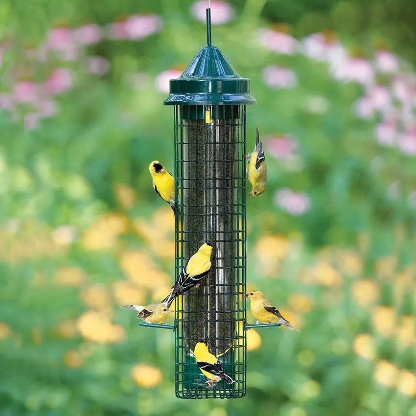 Brome Squirrel Buster Finch Feeder