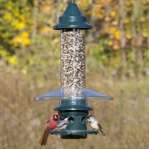 Brome Squirrel Buster Plus & Weather Guard